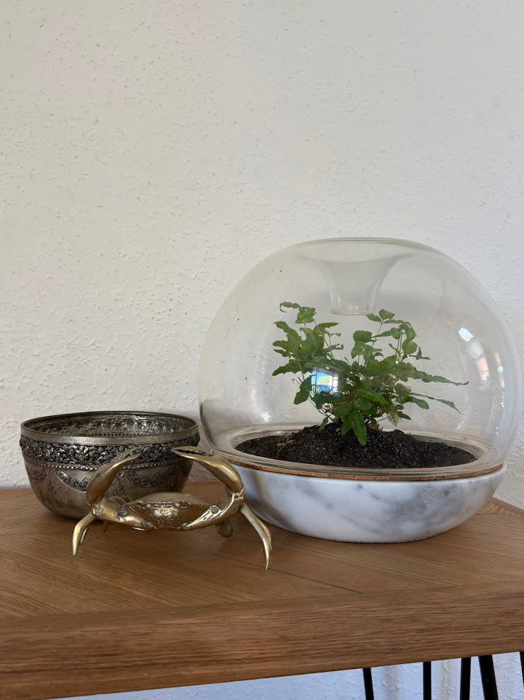 Becoming the Architect of Your Home