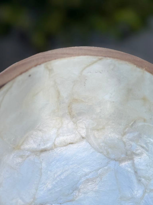 Teak Wood and Natural Shell Bowl