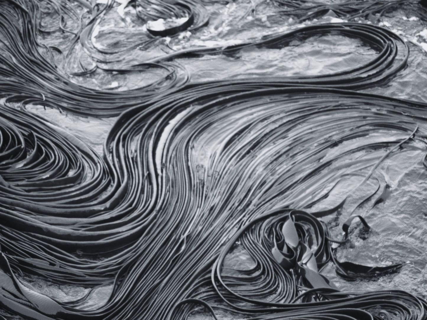 Tidal Lines | Antarctica