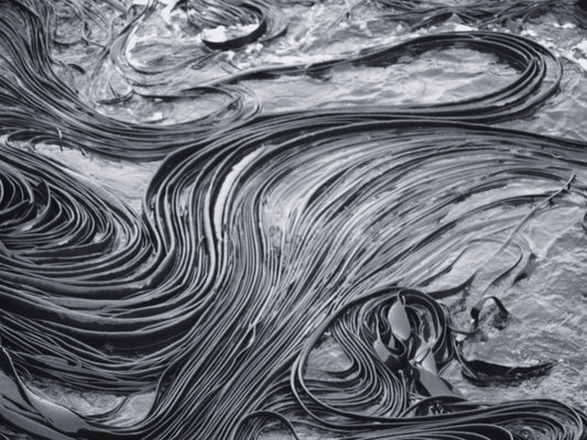 Tidal Lines | Antarctica