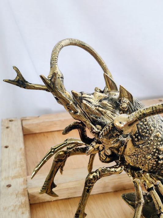 Close up details of face of brass lobster