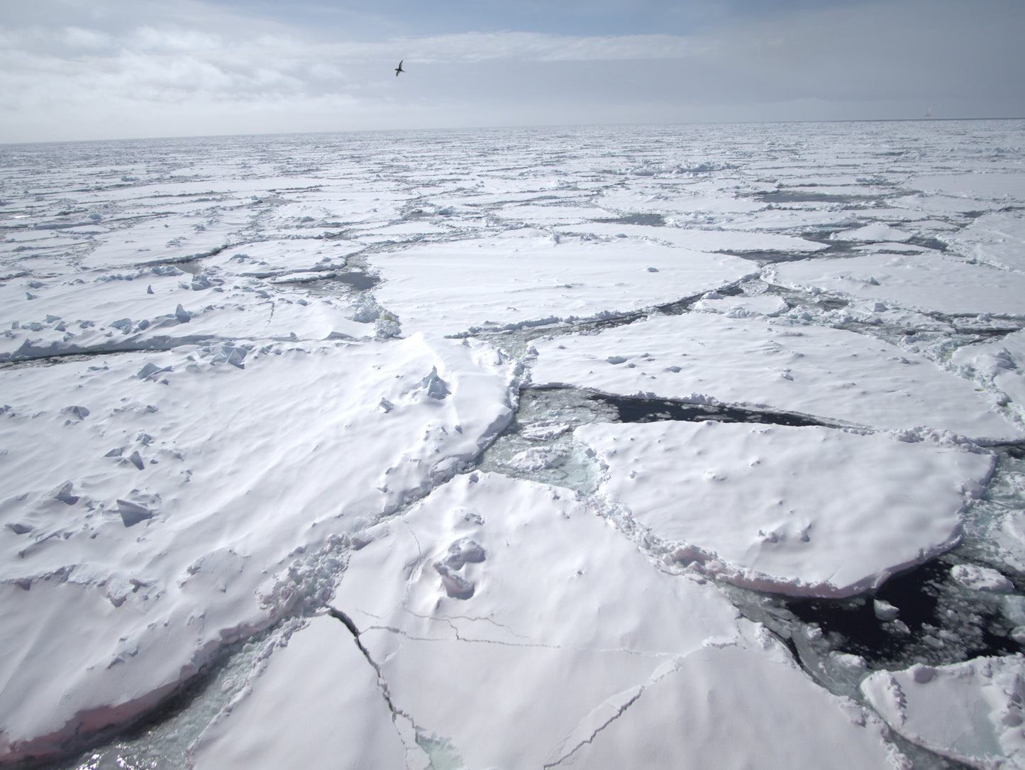 Endless White | Antarctica
