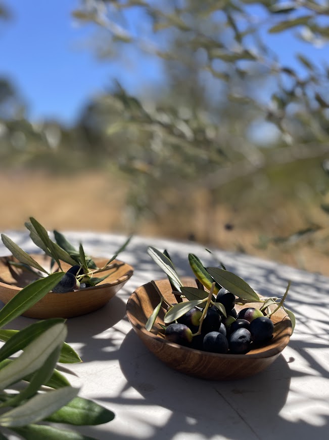 Table setting with olive orchard in the background and in focus, small wooden teak bowls holding olives