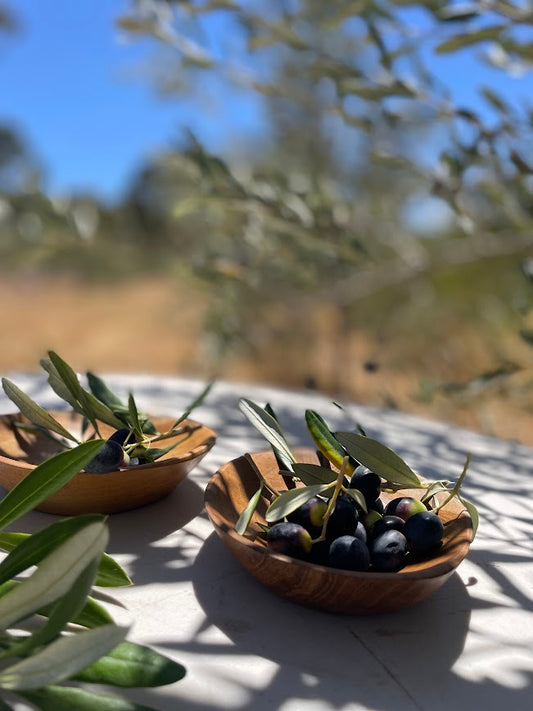 Table setting with olive orchard in the background and in focus, small wooden teak bowls holding olives