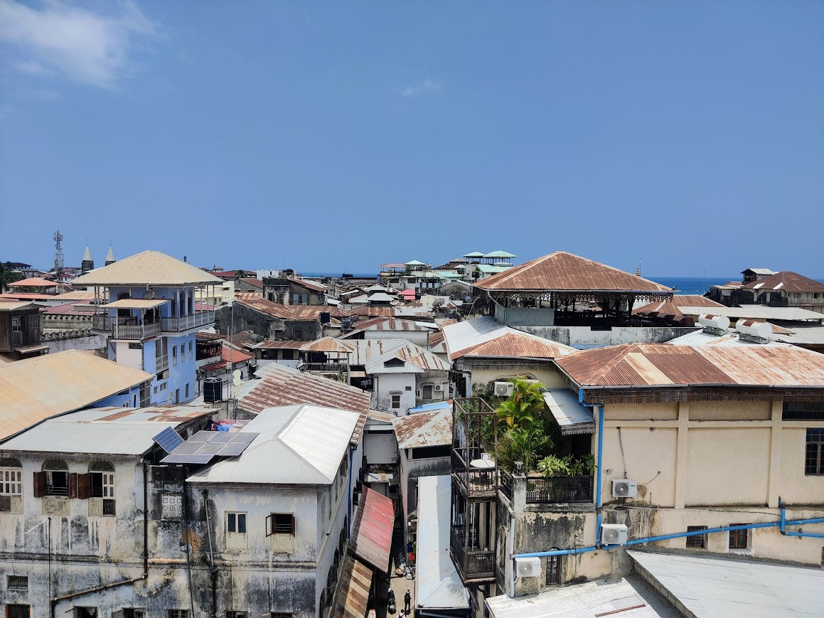 view over looking rooftops with ocean in background