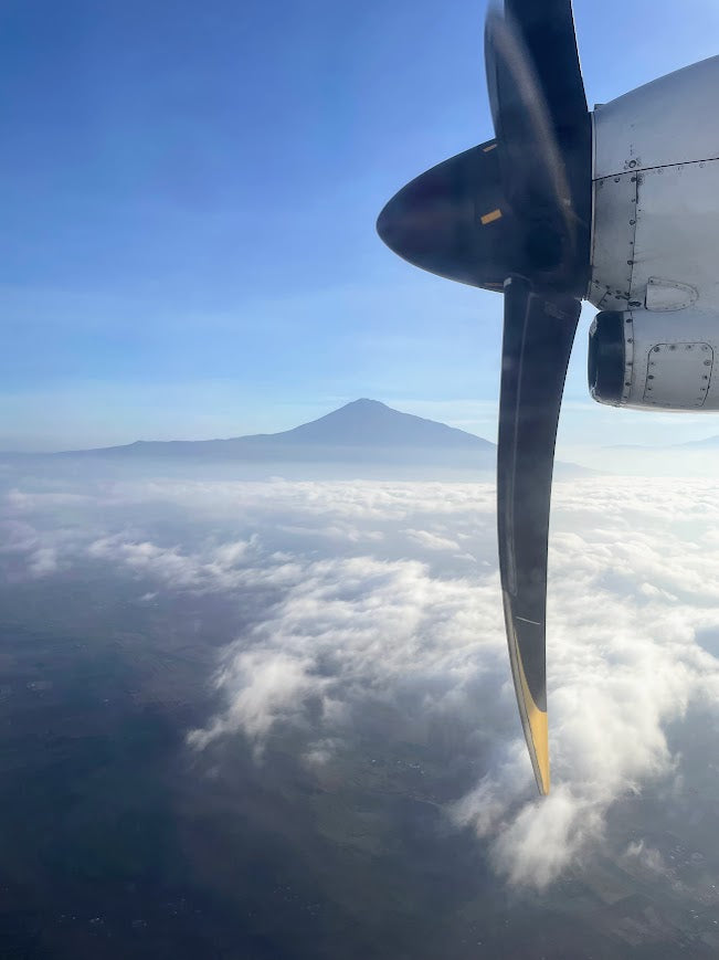 picture from plane window with mountain in the background