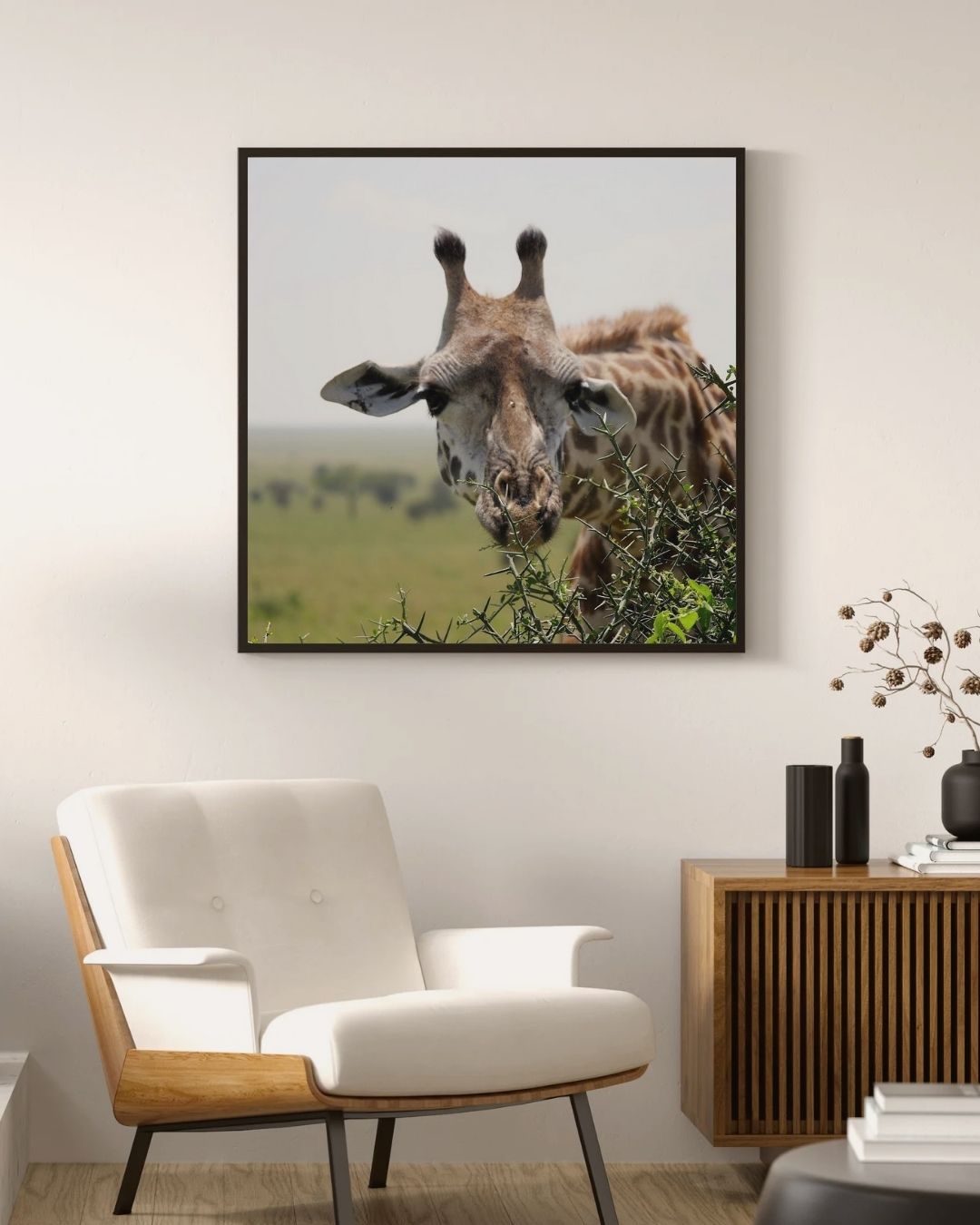 Real photo of a giraffe