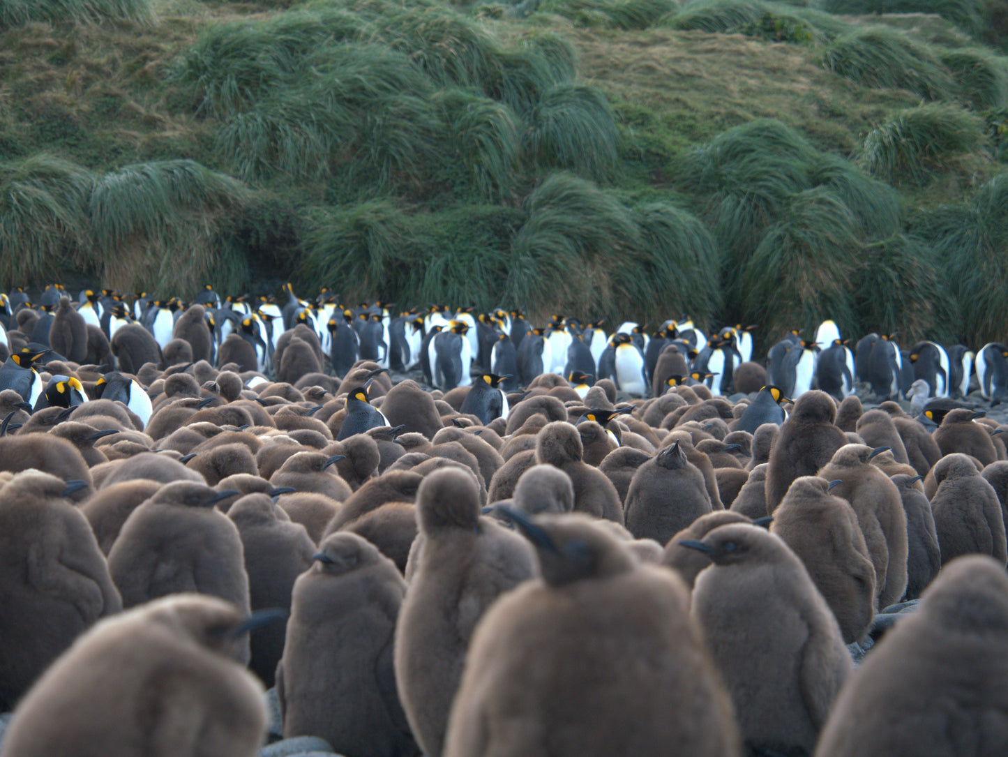 Stillness in Contrast | Antarctica