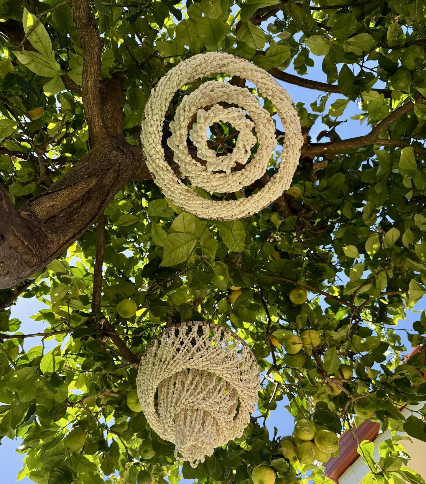 Three Tier Shell Pendant Light