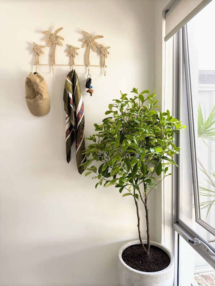 Natural Rattan Palm Tree Hooks in entryway of a home
