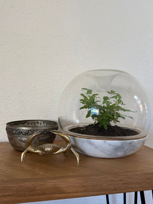 Becoming the Architect of Your Home