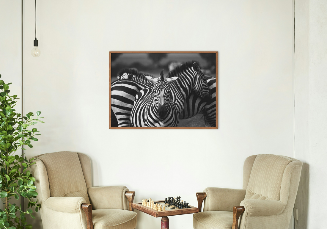 zebra photo print on wall 