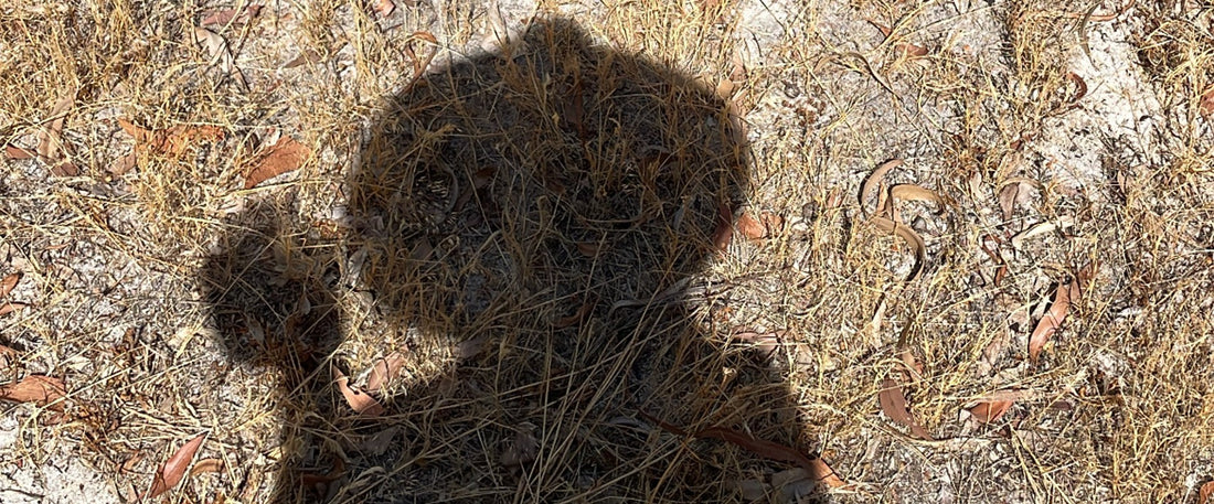 shadow of person on dry summer grass in australia