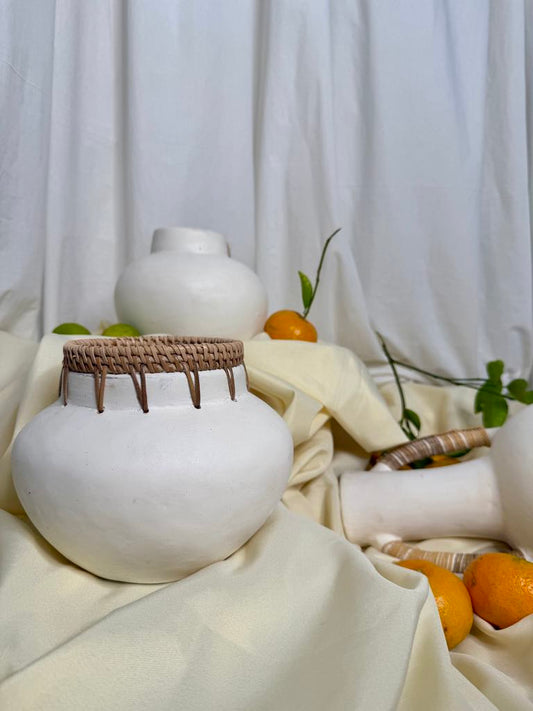 Two Ear Harmony Pot Vase