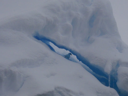 Blue Ice Passage | Antarctica