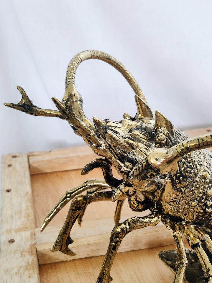 Close up details of face of brass lobster