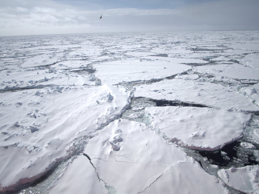 Endless White | Antarctica
