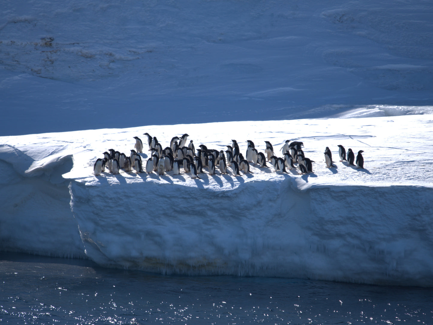 Gathered In the Light | Antarctica