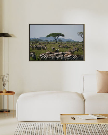 Africa photo prints