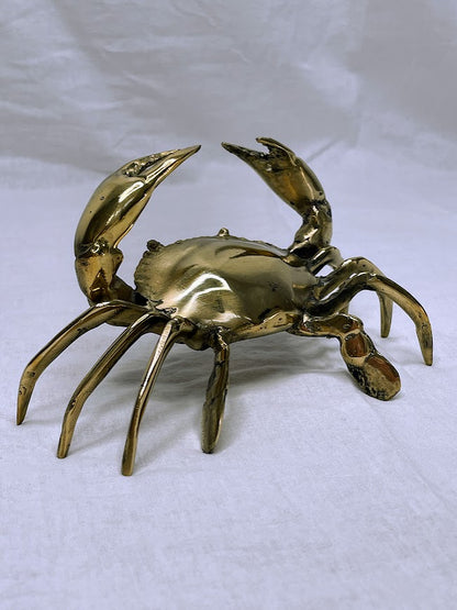 Back and leg details of large brass crab
