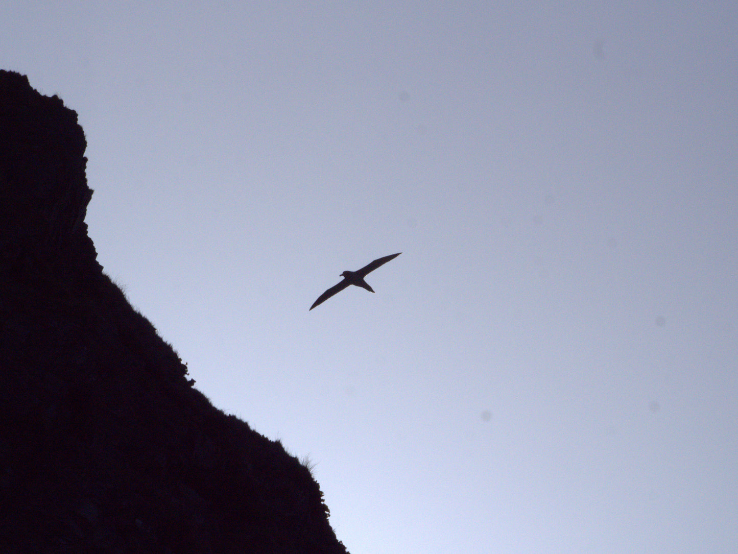 Into the Vast | Antarctica