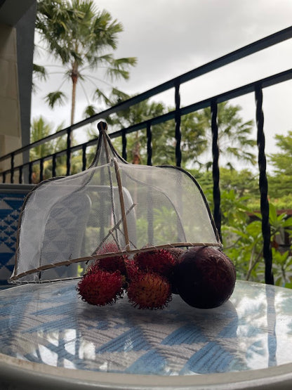 Food cover sitting over food in tropical setting