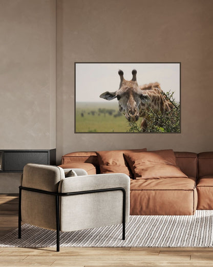 Giraffe photo print